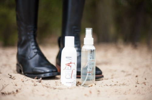 Nieuws en evenementen