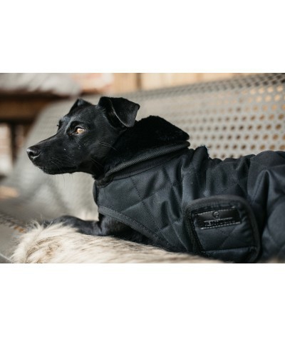 hondenjas Black