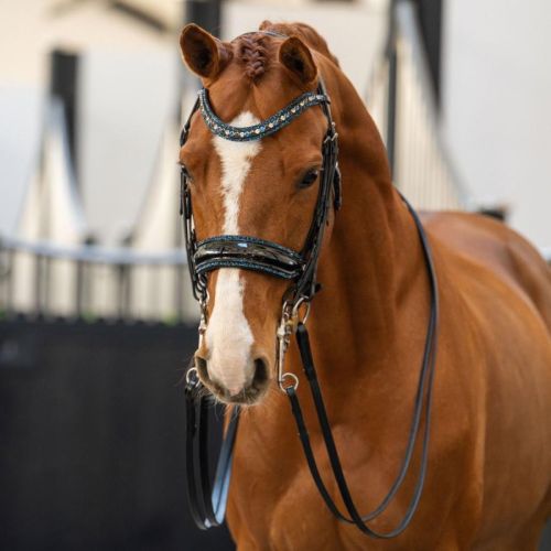 One in a million stang en trens hoofdstel Zwart / navy